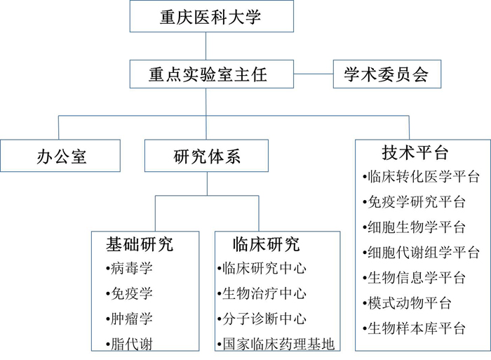 组织架构new.jpg